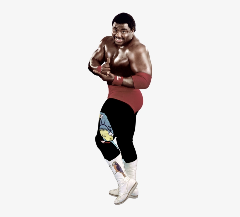 Koko B - Ware - Koko B Ware Png, transparent png #542052