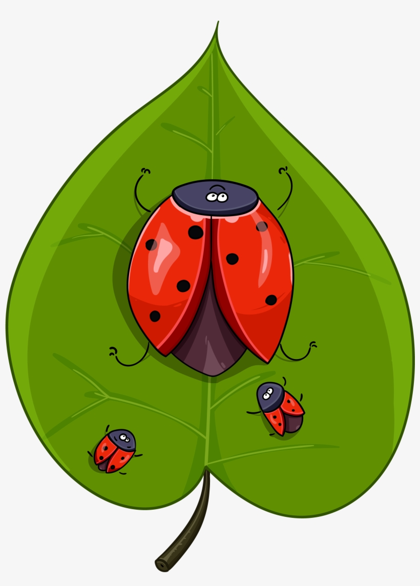 Funny Ladybugs - Ladybird Beetle, transparent png #543080