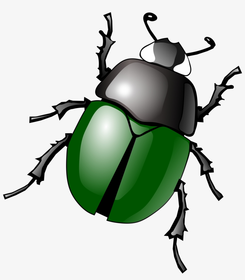 Download Png Image Bug, transparent png #543102