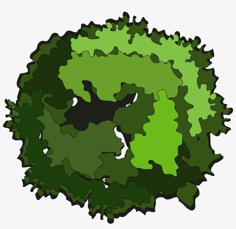 Jpg Royalty Free Library Clipart Big Image Png - Tree Clipart Top View Png, transparent png #543366