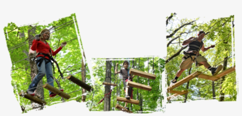 Explore Sevierville, Tn - Tree, transparent png #543909