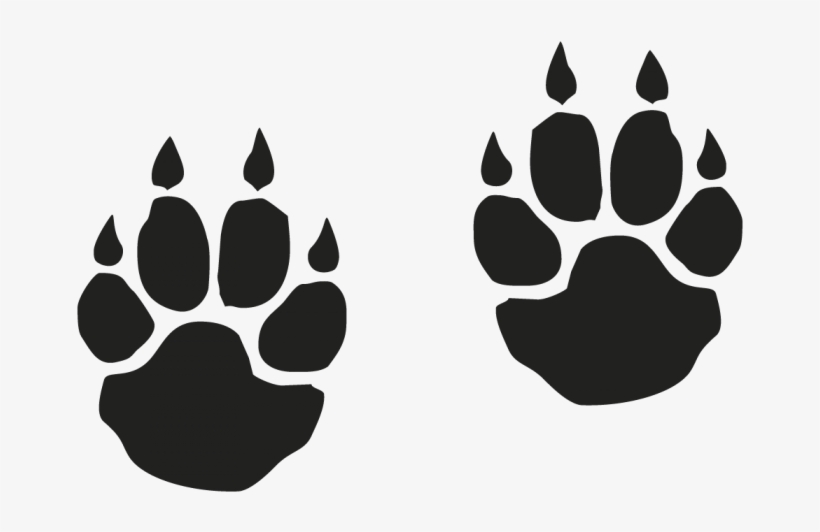 Free Download Tiger Paw Print With Claws Clipart Tiger - Saber Tooth Tiger Footprint, transparent png #545054