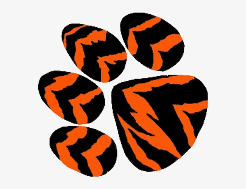 1000 Images About Tiger Clip Art On Pinterest - School, transparent png #545516