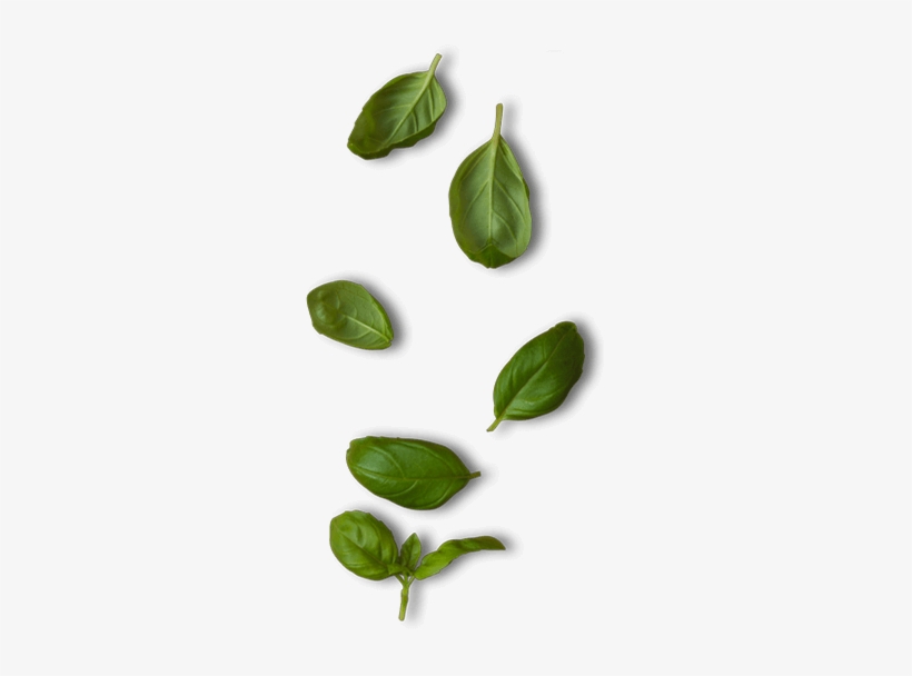 Back To Top - Spinach, transparent png #545531