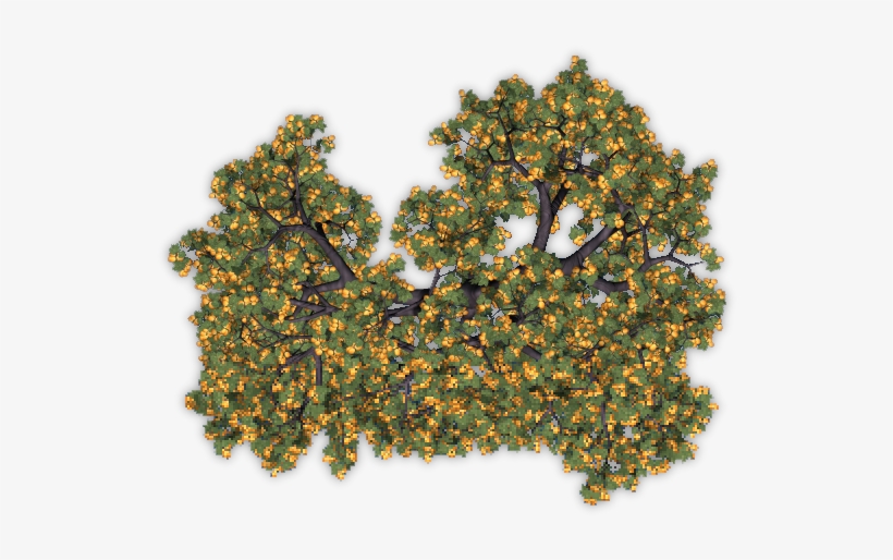 Fruit Trees Top View Png, transparent png #546041