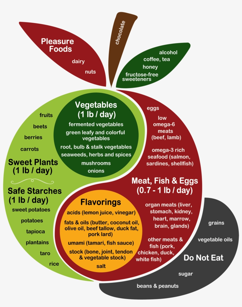 Kind Readers Have Translated The Perfect Health Diet - Healthy Diet, transparent png #546150