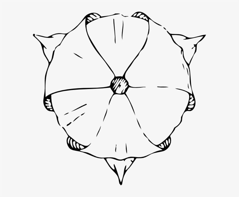 Free Vector Tulip Top View Clip Art - Tulips Drawing Top View, transparent png #546219