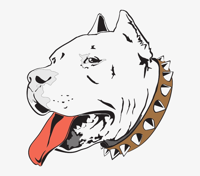Pitbull Dog Head Png Picture Download - Desenho De Pitbull, transparent png #546325
