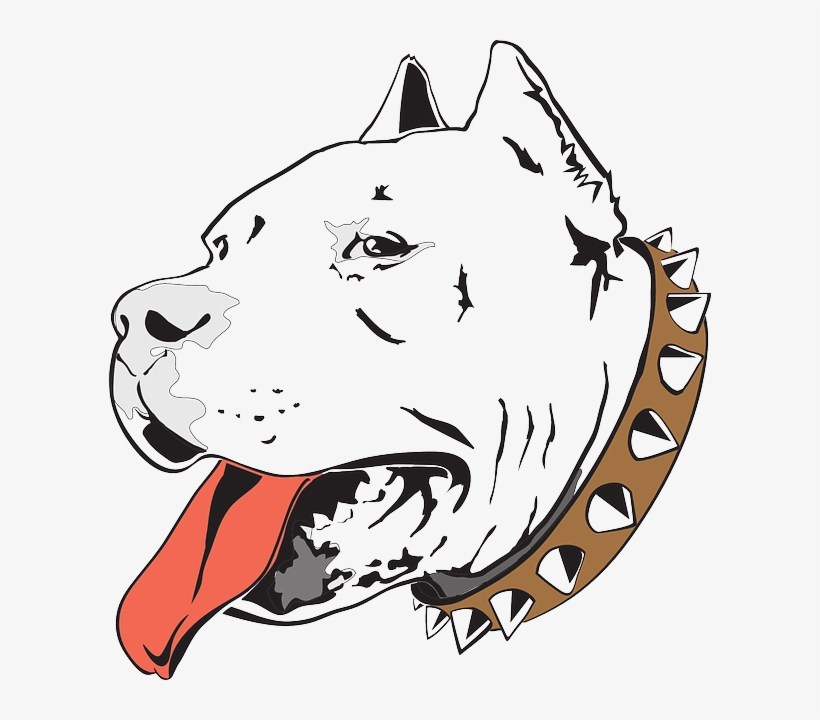 Pitbull Dog Head Png Picture Download - Desenho De Pitbull - Free