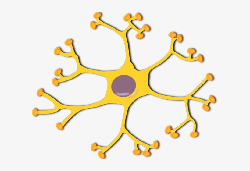 Neuron Clipart Design - Brain Cell Clipart, transparent png #546532