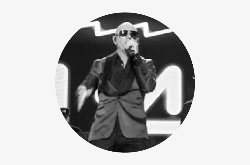 Pitbull - Pit Bull, transparent png #546703