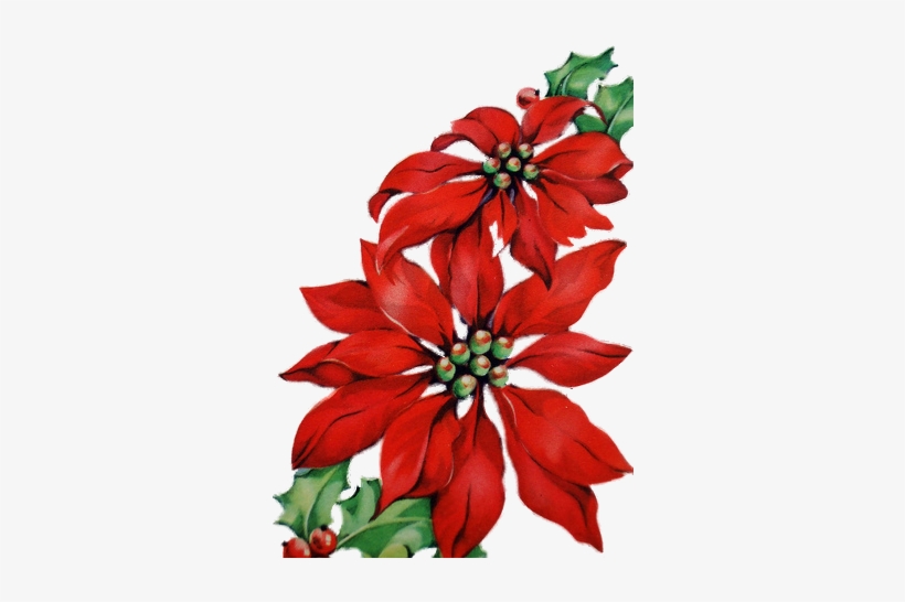 4031212678 E275ee13d1 353×471 Pixels - Drawing, transparent png #546871