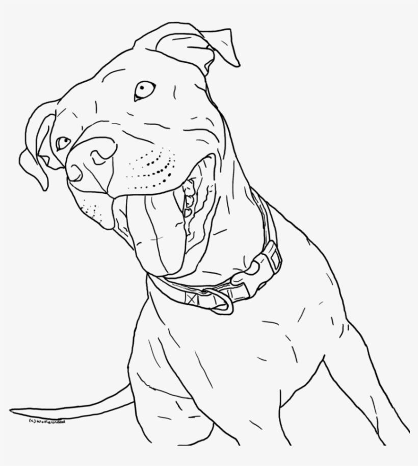 Cute Baby Pitbull Coloring Page - Drawing Of Baby Pitbull, transparent png #547391