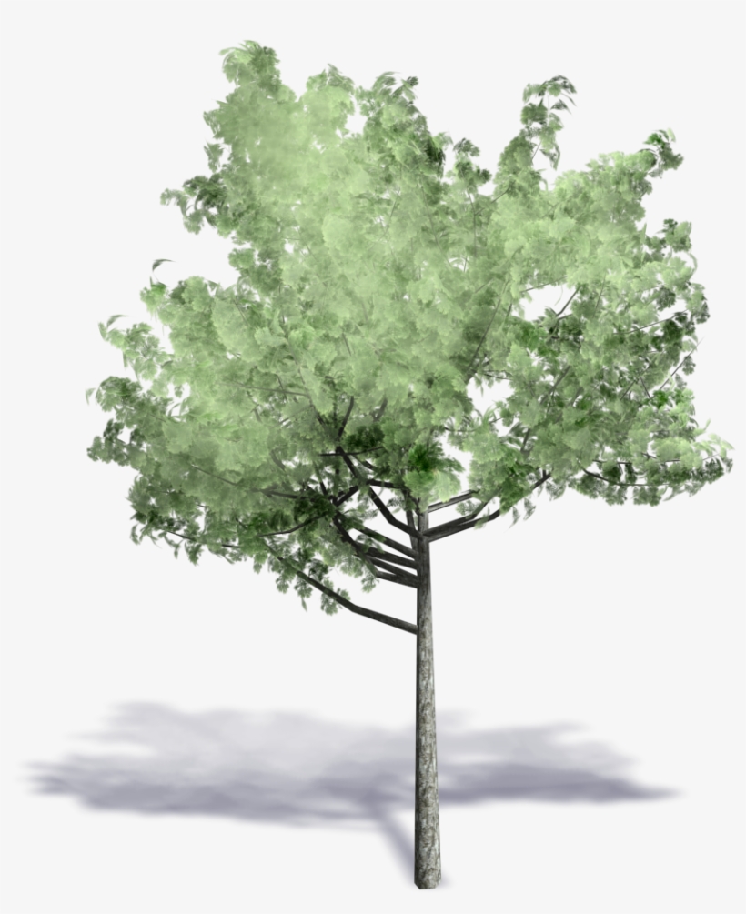 Generic Summer Tree - Tree Axonometric Png, transparent png #548442