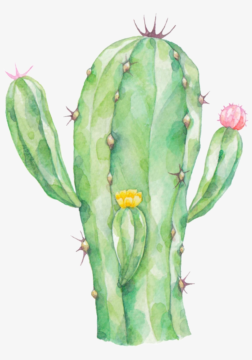 Radiation Proof Cactus Png Transparent - Cactus Png, transparent png #548729
