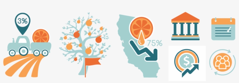 Orchanic Graphics-04 - Graphic Design, transparent png #548752