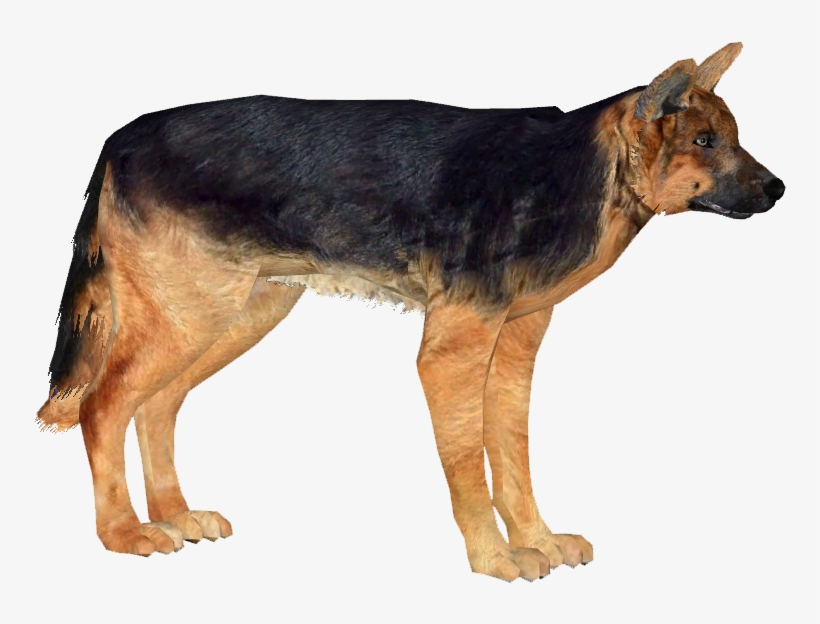 German Shepherd Dog - Png Pictures Of German Shepherds, transparent png #549969