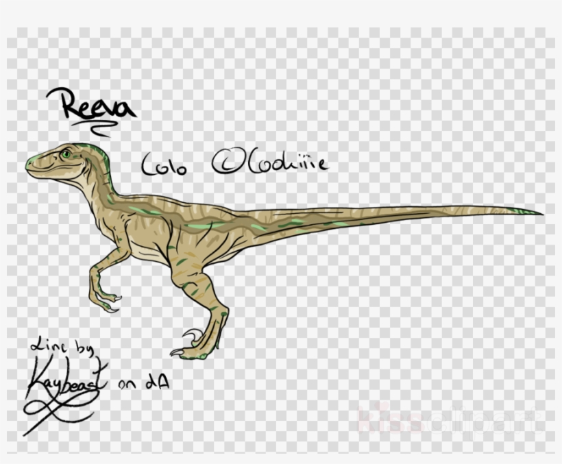 Velociraptor Clipart Velociraptor Majungasaurus Carnotaurus - Carnotaurus, transparent png #5401306