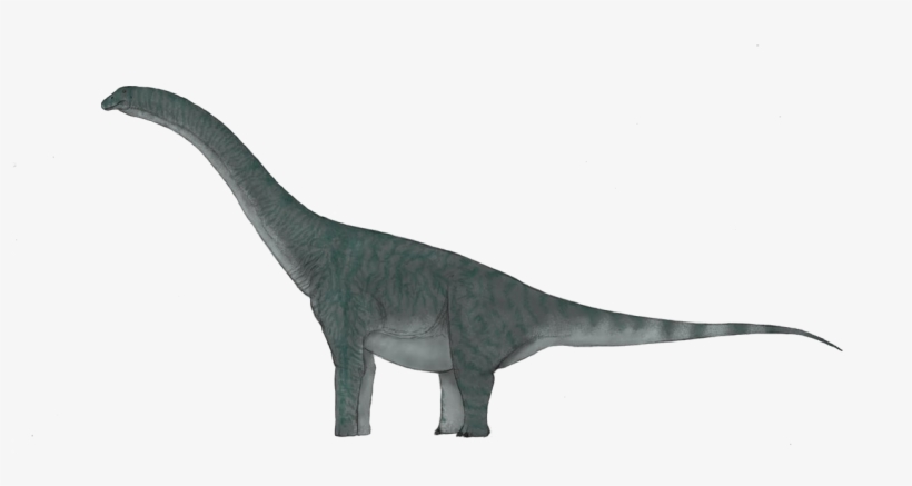 Sauropod Background Png, transparent png #5401436