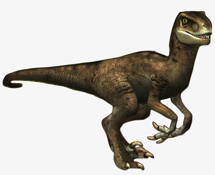 Donna The Velociraptor - Velociraptor, transparent png #5401664