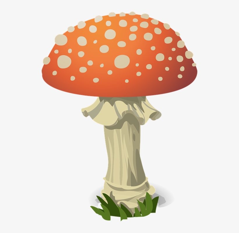 Amanita Muscaria Png Photo - Umbrella Critters Clipart With Transparent Backgrounds, transparent png #5402470