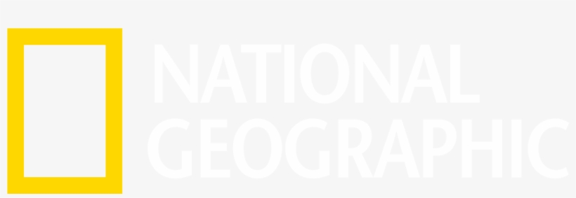 Ng Logo White - National Geographic Logo Hd, transparent png #5404050