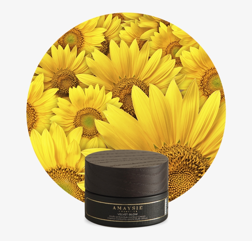 Velvet Glow, transparent png #5405106