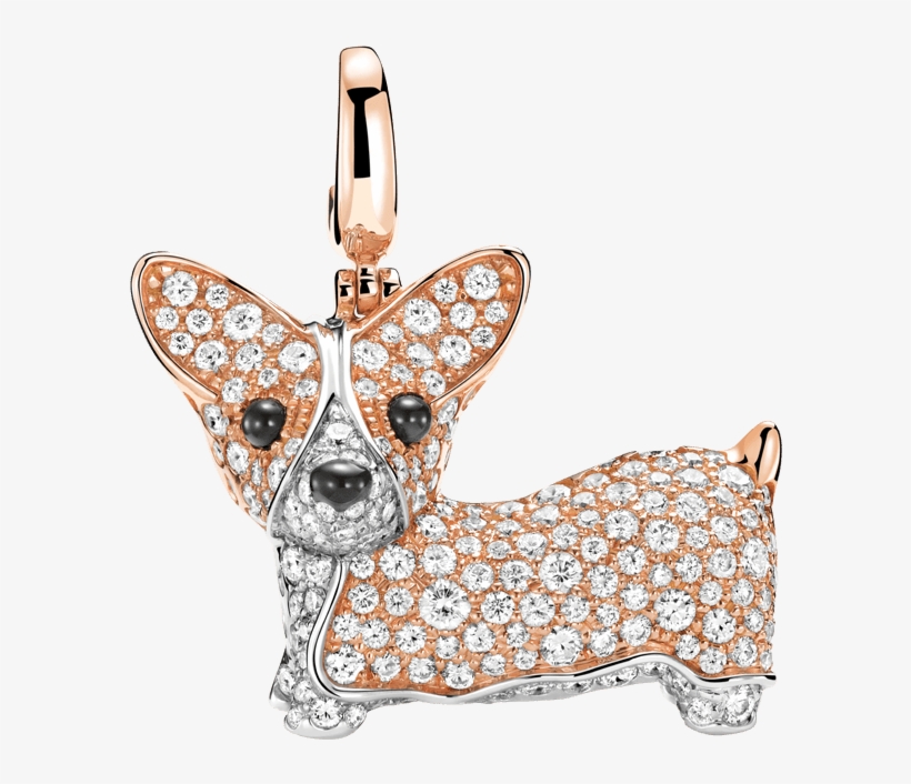 Chihuahua, transparent png #5405512