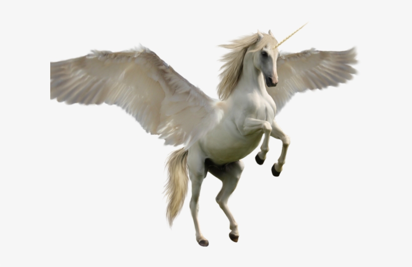 Unicorn Png Transparent Images - Unicorns With Wings, transparent png #5406348