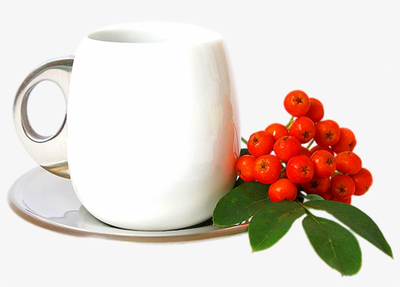 Coffee Cup Transparent Images, Green Tea Png Images, transparent png #5409412