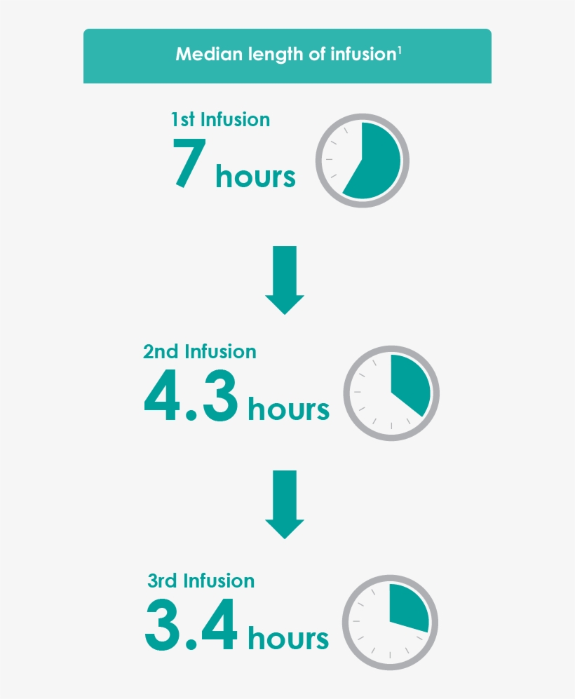 Want A Pdf Of The Darzalex® Vmp Dosing Schedule, transparent png #5410725