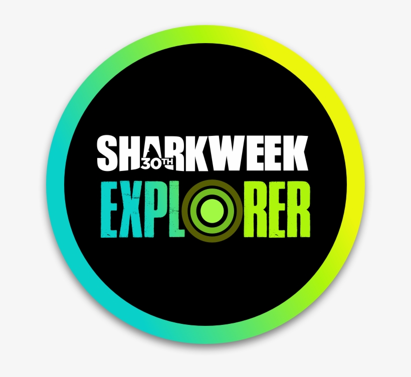 .com, transparent png #5411617