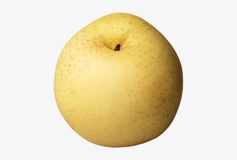 Asian Pear Png Png Free - Cross Pear And Apple, transparent png #5411805