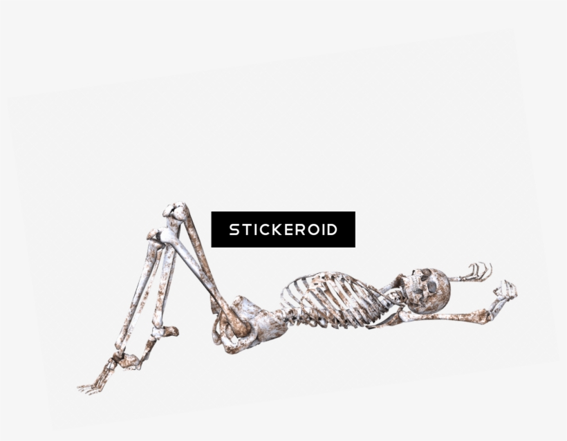 Skeleton Hand In Front Of Chest - Illustration, transparent png #5414750