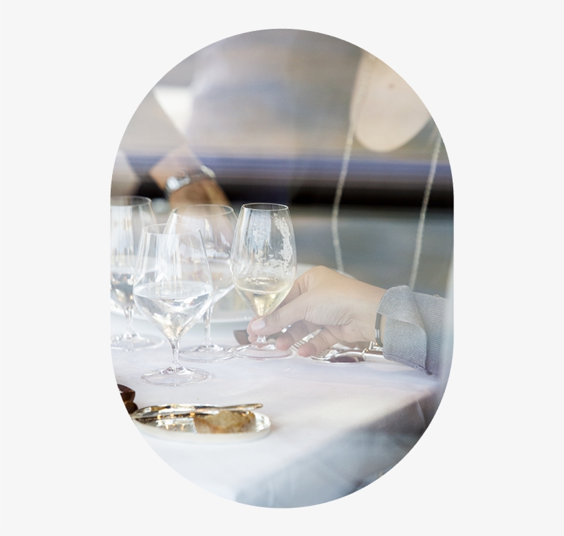 Like Lobster, Fine And Mellow, That He Marinated With - Wine Glass, transparent png #5415315