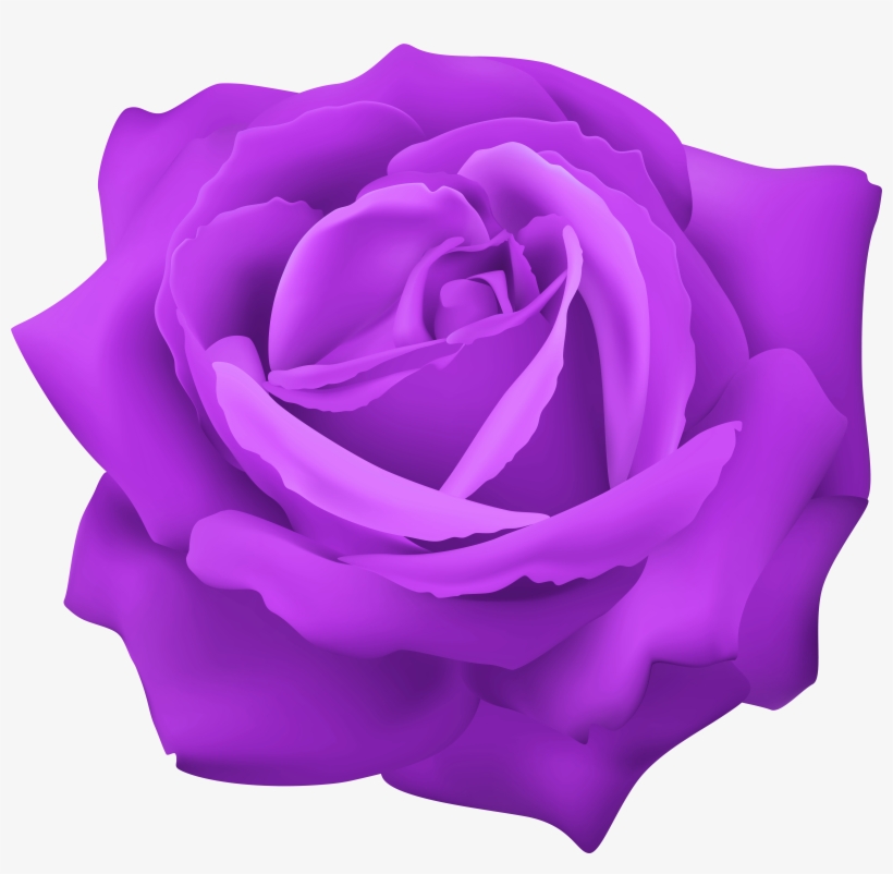 Purple Rose Png, transparent png #5416250