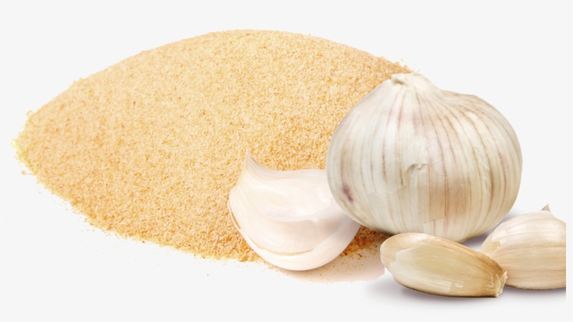 Garlic, transparent png #5416381
