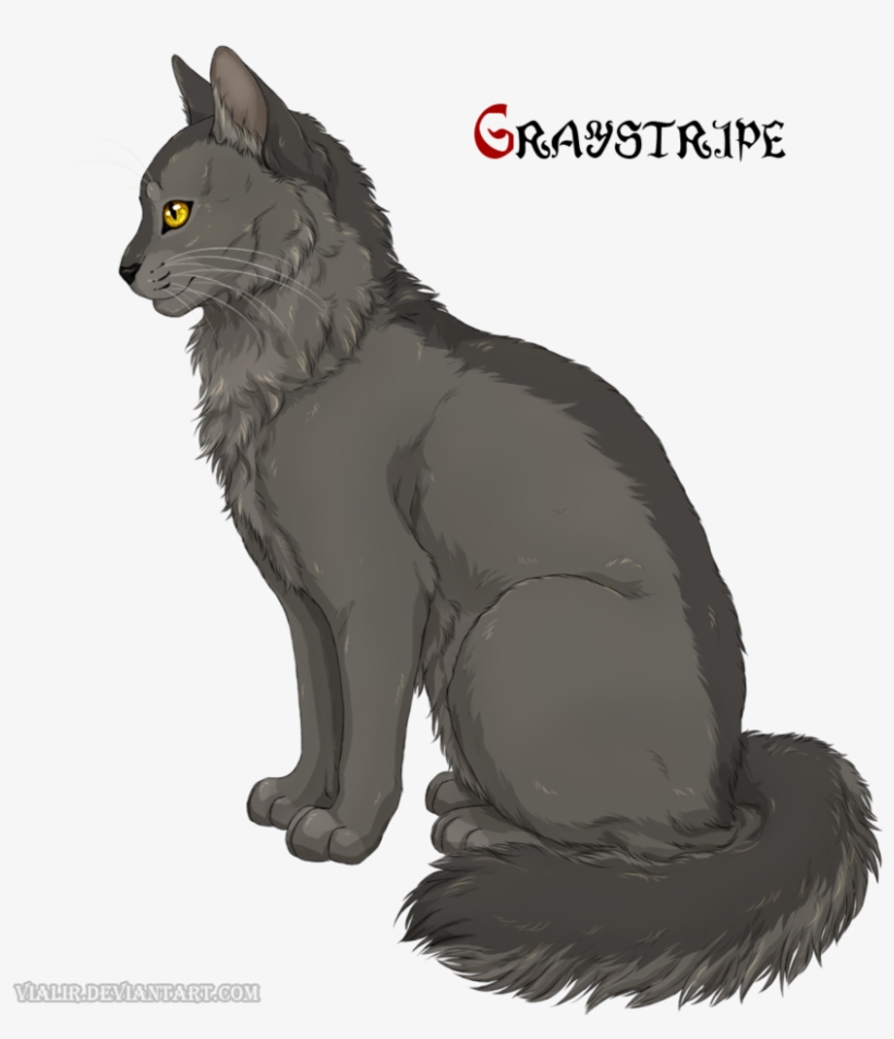 Graystripe From Warrior Cats, transparent png #5416513