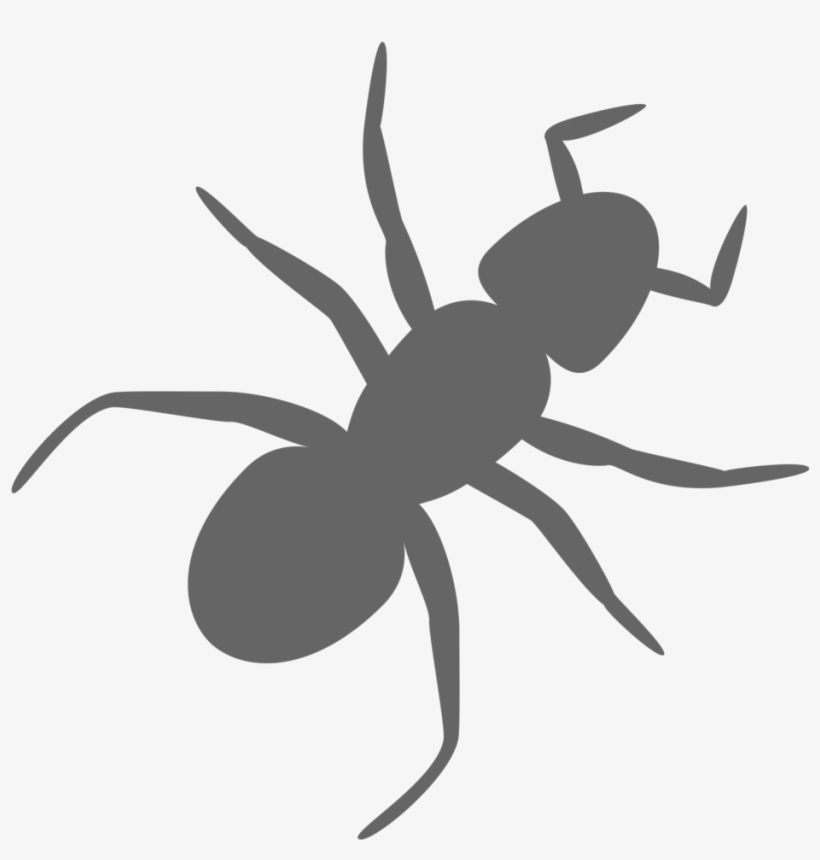 Ants Vector Transparent Background Picture Transparent - Ant Clip Art, transparent png #5417058