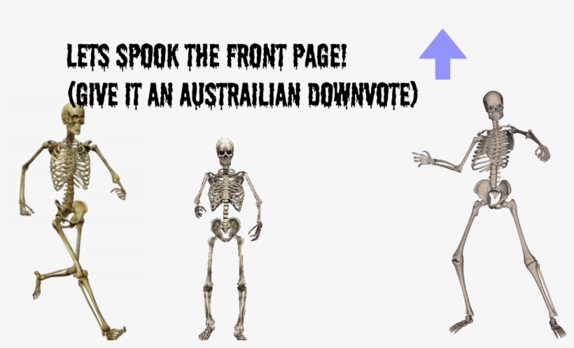 🎺doot🎺 Doot🎺spooky Time - My Halloween Costume Shower Curtain, transparent png #5418119