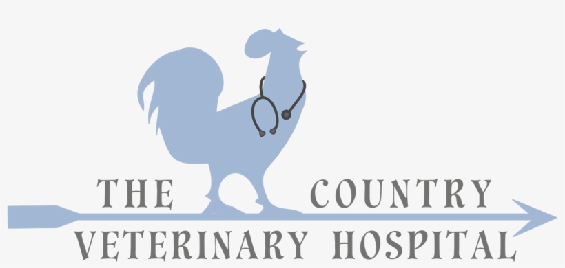 Silver Paw Sponsor - Graphic Design, transparent png #5419099