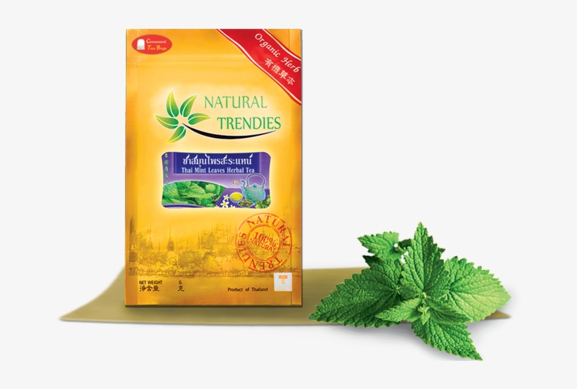 Thai Mint Leaves Herbal Tea ชาสมุนไพร ชาเชียงใหม่ ชาตะไคร้ - ผลิตภัณฑ์ จาก ใบ โหระพา, transparent png #5420152