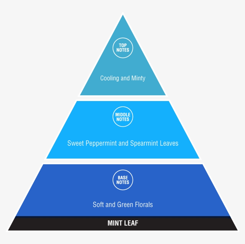 Mint Leaf - Social Classes, transparent png #5420222