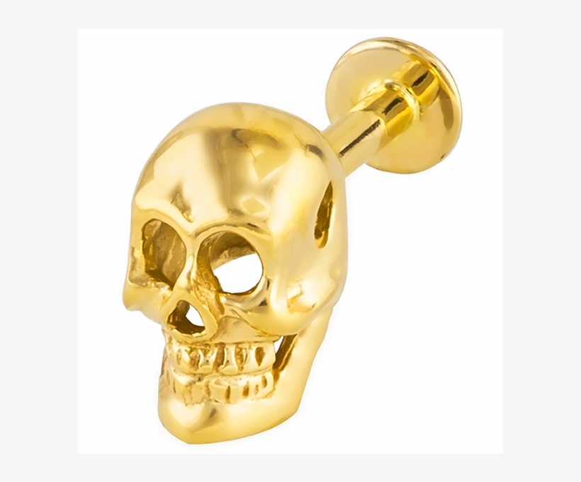 14g Solid 14k Yellow Gold Skull Labret Lip Ring Monroe - Labret Gold Jewelry, transparent png #5420349