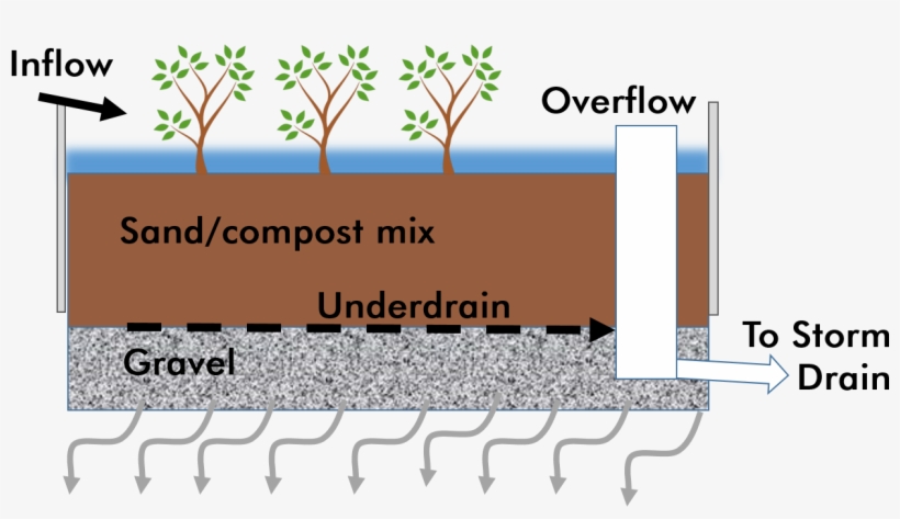 Green Infrastructure Illustrative Cross-section Of - Green Infrastructure, transparent png #5421169