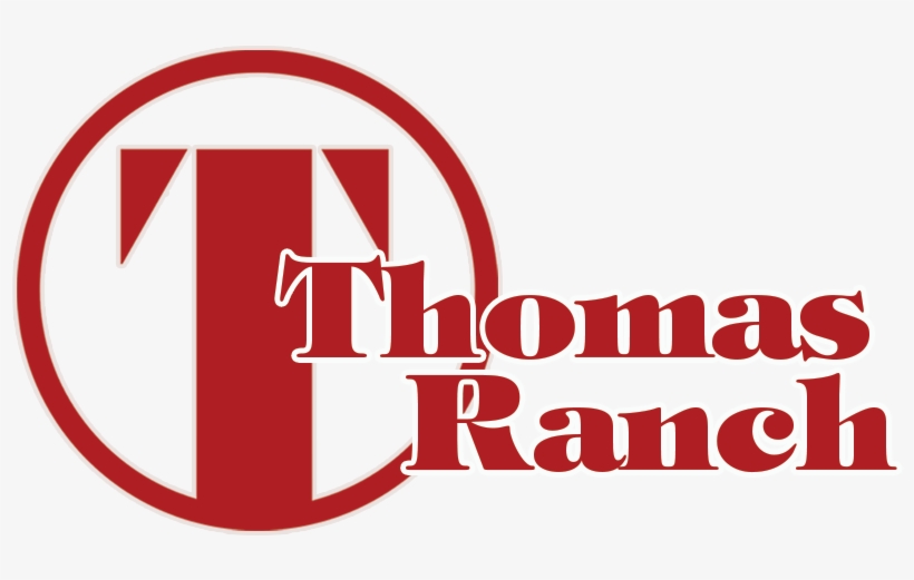 Contact - Tray Card Holder - 3/4"h - Pkg Qty 72, transparent png #5422713