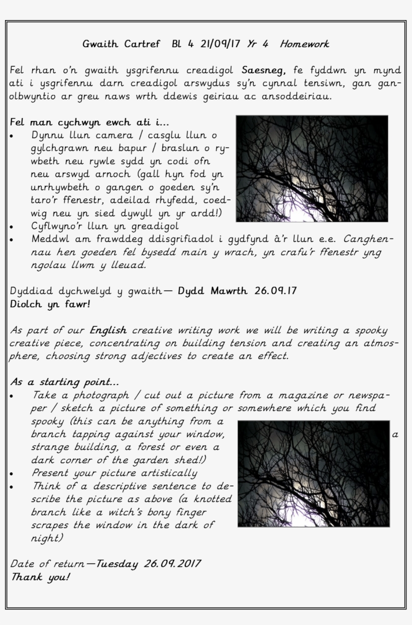 Year 4 Homework - Tree, transparent png #5423296
