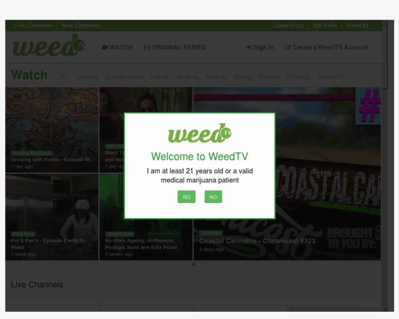 Website History - Parallel, transparent png #5423502