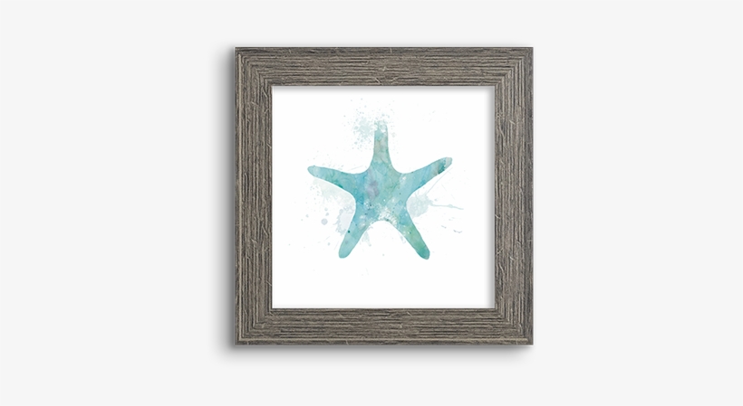 Watercolor Silhouette ~ Sea Star - Echinoderm, transparent png #5424070