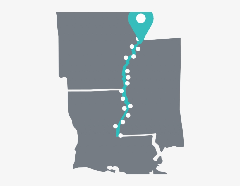 Reforestation Project - Graphic Design, transparent png #5424917